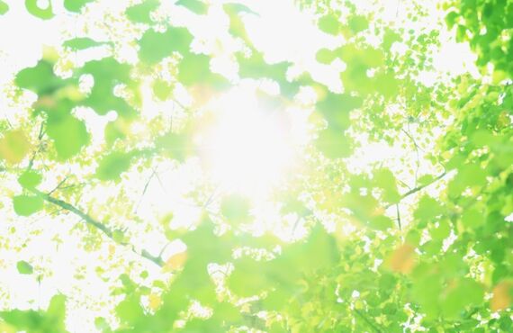 北方にある人気のとんかつ弁当を提供しているFu-Booです！